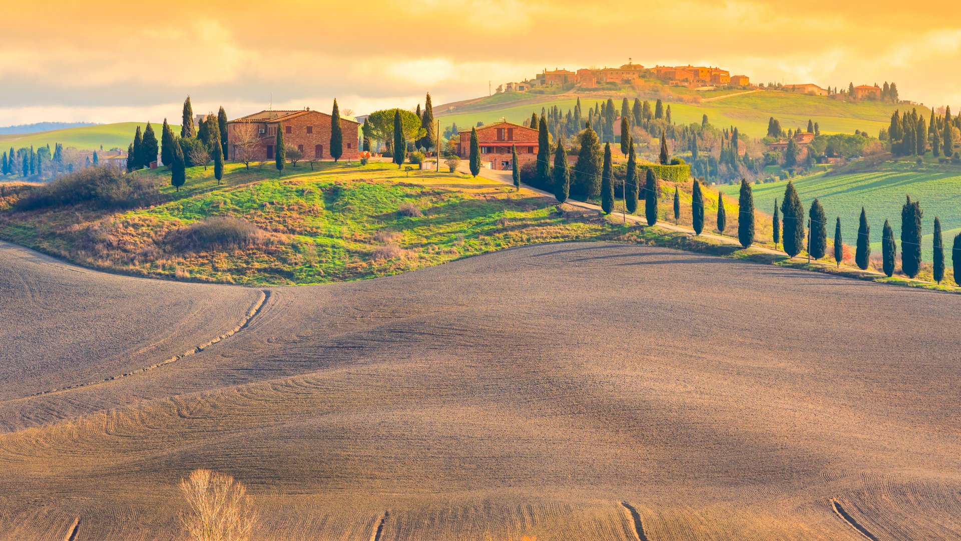 Toscana - Val di Chiana e Crete Senesi: Toscana Gourmet