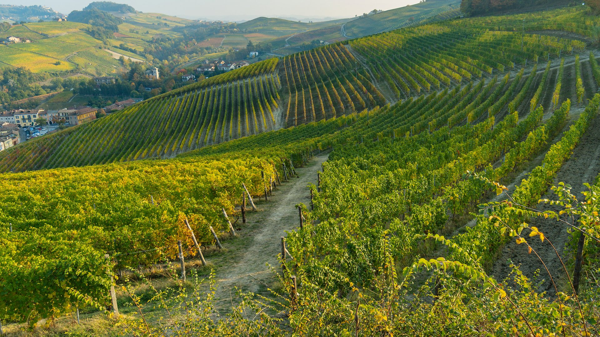 Piedmont: Slow Food, Wine & Truffles – A  B2B Culinary Group Tour