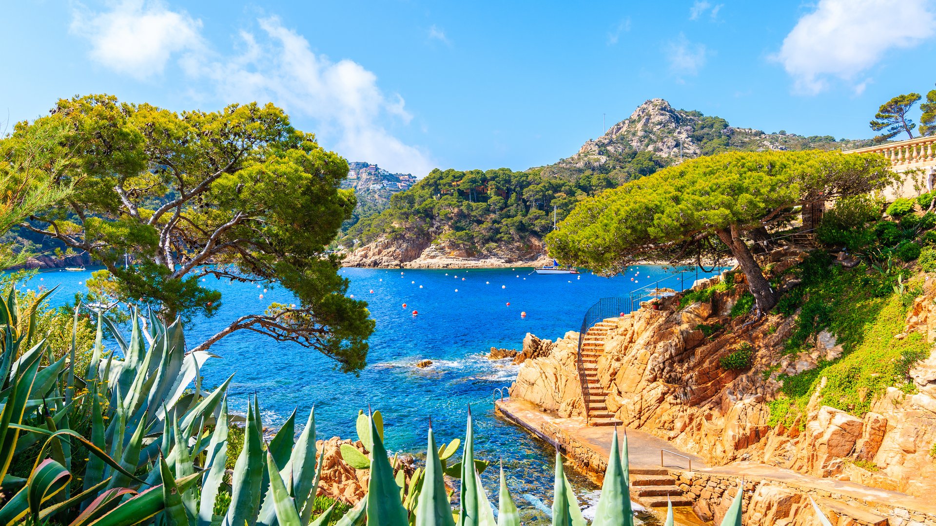 Costa Brava Flavours Group Tour: Paella, Cava & Culture