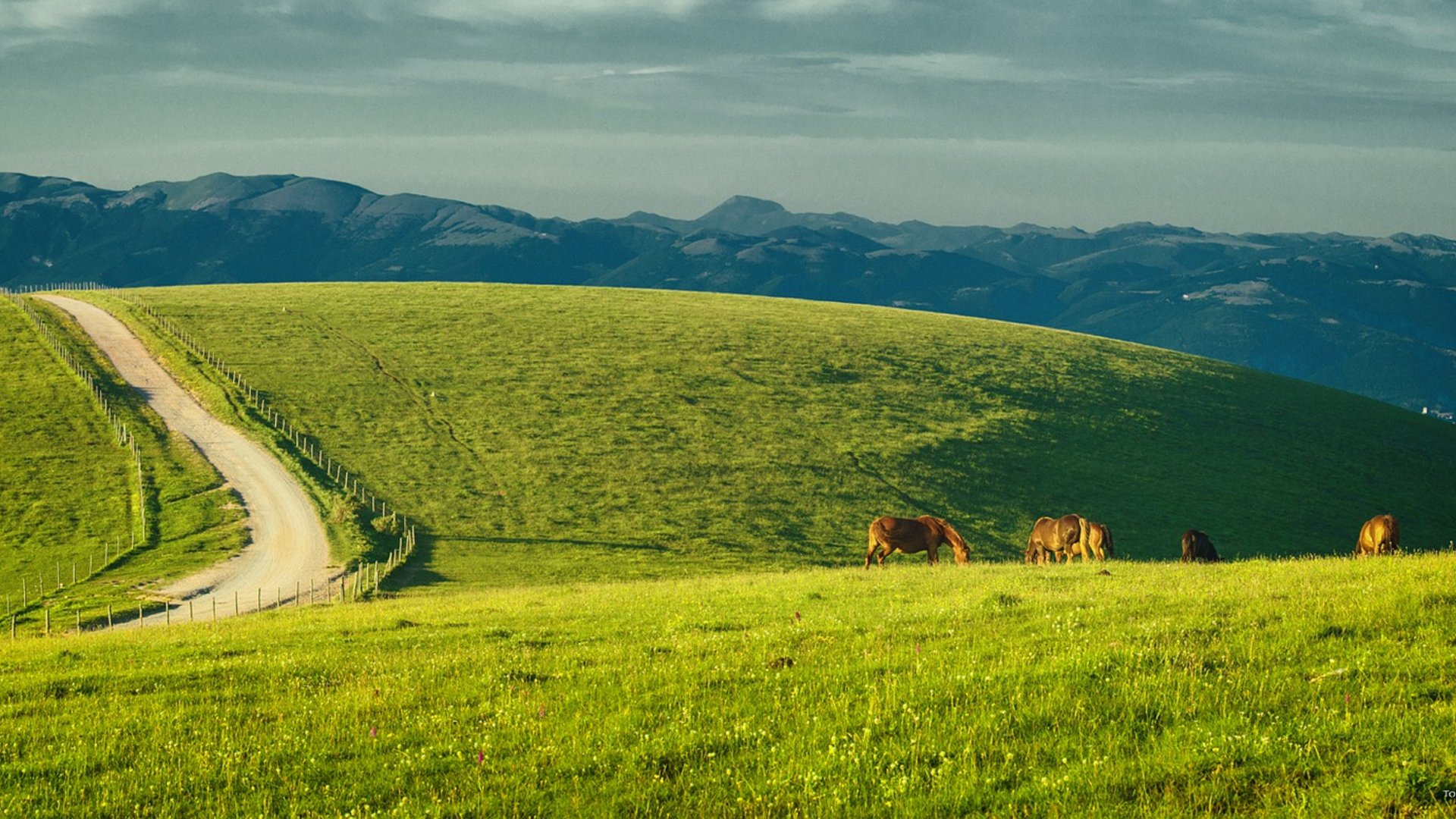 Umbria - Umbria: sentieri da sogno, sapori autentici