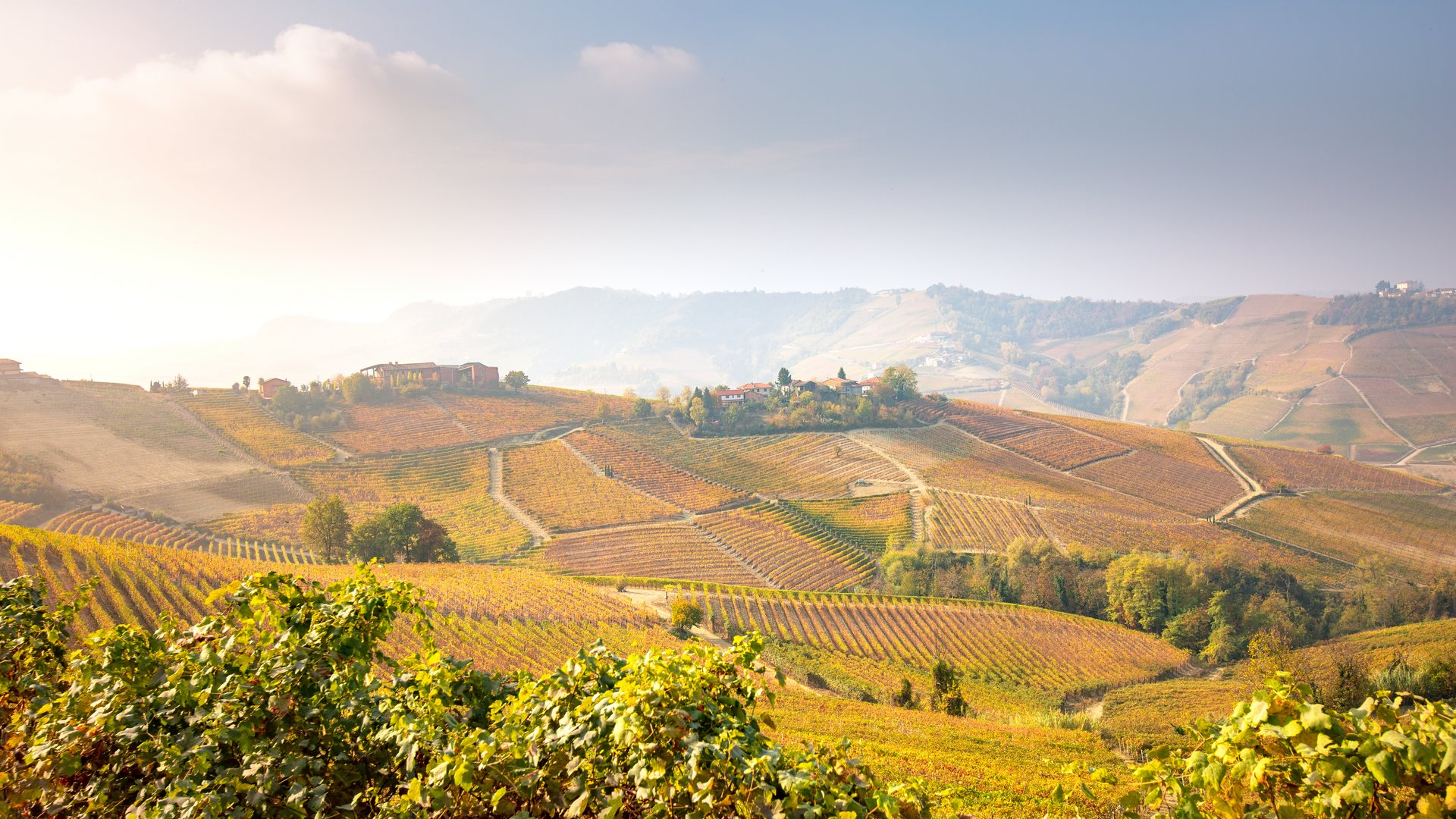 Piemont - Piemont für Weinliebhaber