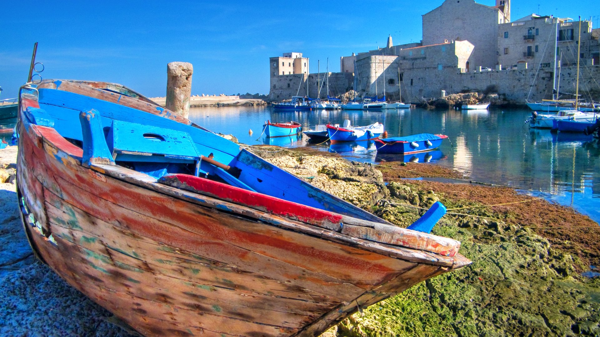 Puglia - Flavours and wines of the Southern Sun