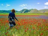 Michelangelo International Travel | Leading DMC for Italy & the Mediterranean Michelangelo International Travel | Leading DMC for Italy & the Mediterranean