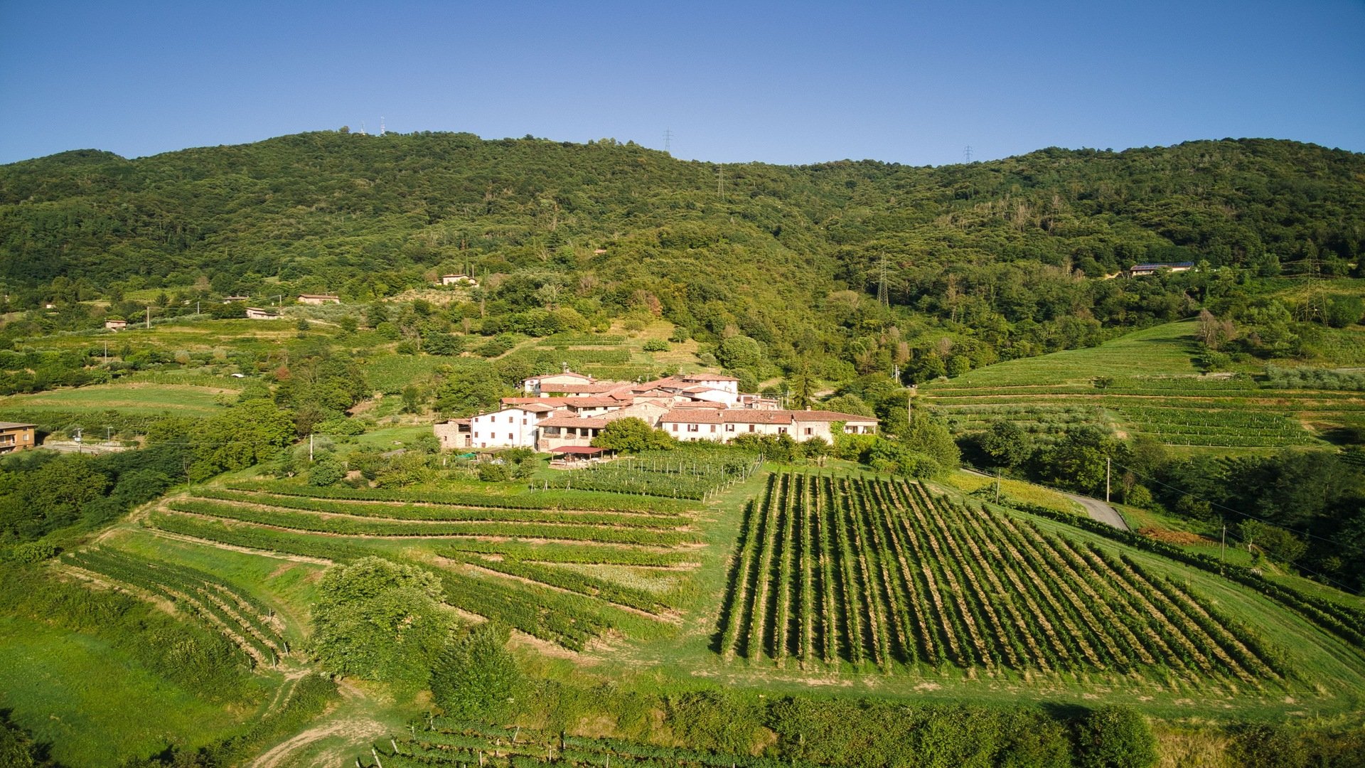 Piedmont & Lake District – A Wine Lover’s Journey Through Northern Italy