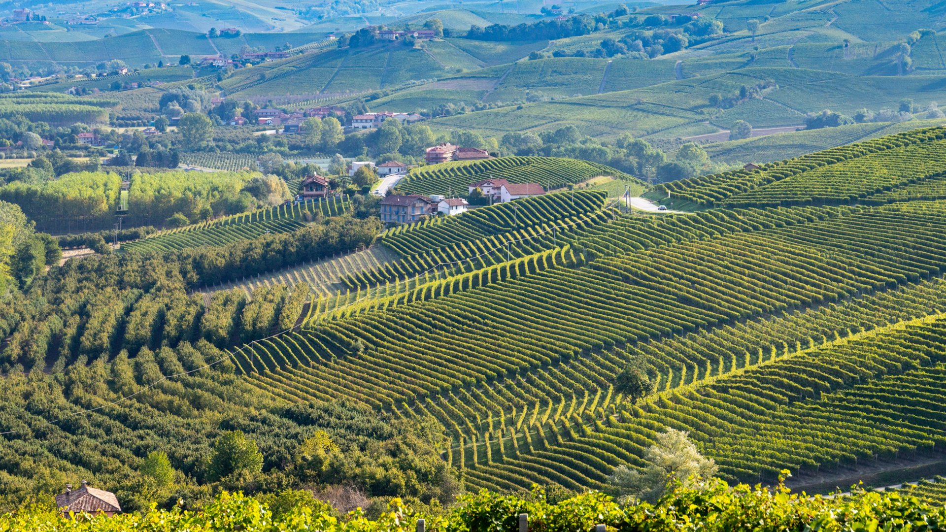 Chianti Wine Festival Group Tour –  Tuscany's Wine, Art, and Traditions