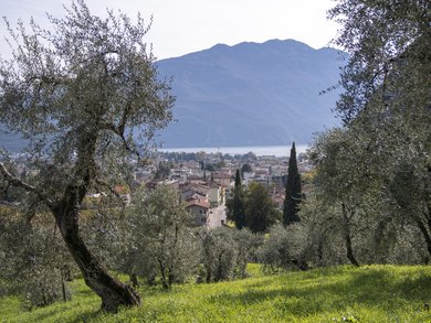 Oberitalienische Seen - Mediterrane Gartenkunst