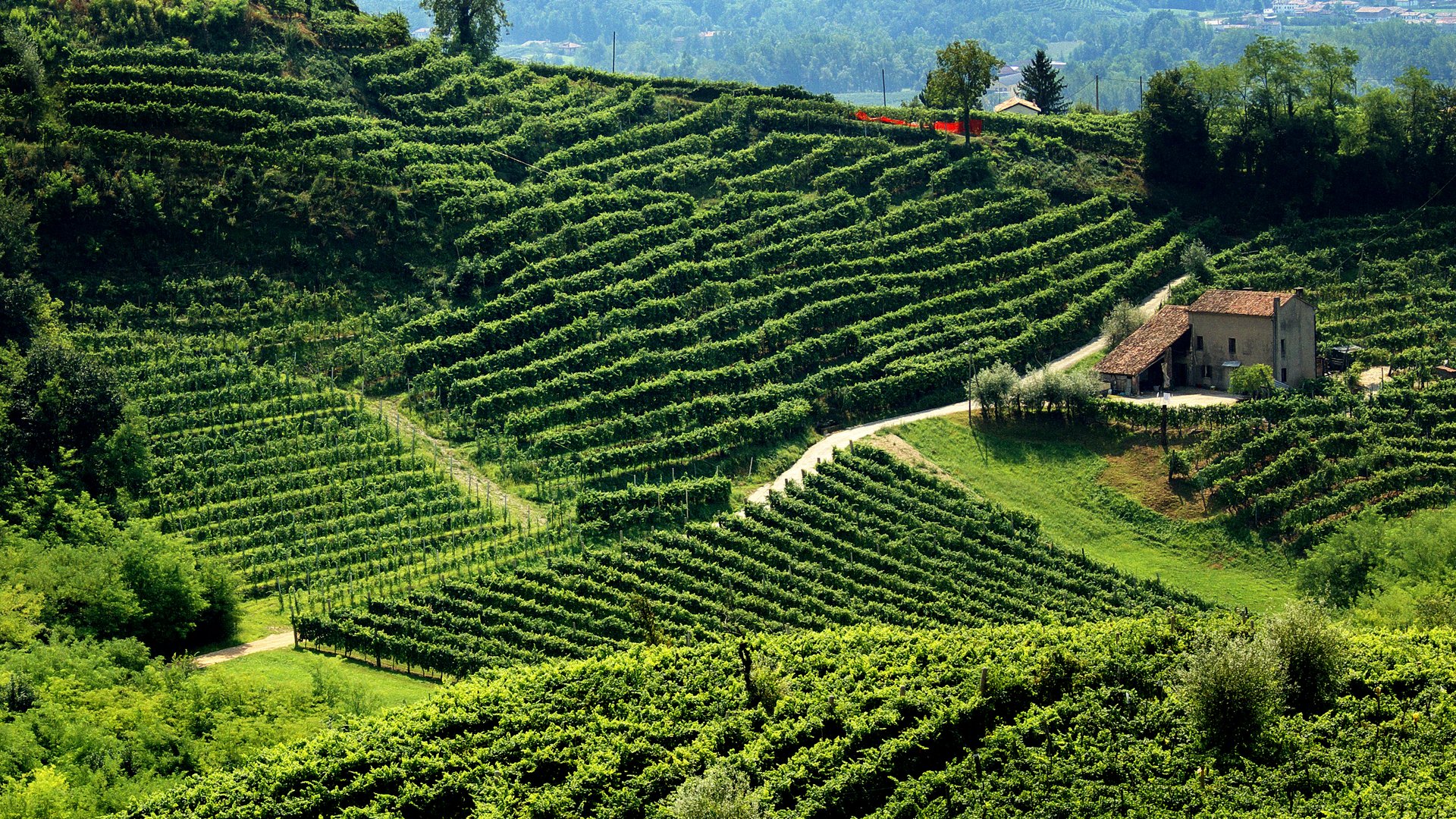 Piedmont & Lake District – A Wine Lover’s Journey Through Northern Italy