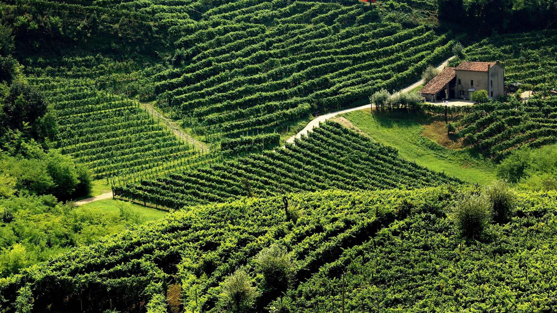 Venetien - Die Lagunenstadt und die Prosecco Straße