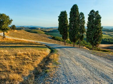 Piemonte e Valle d'Aosta - Gusti e tesori del Piemonte: Torino e il TrEno storico