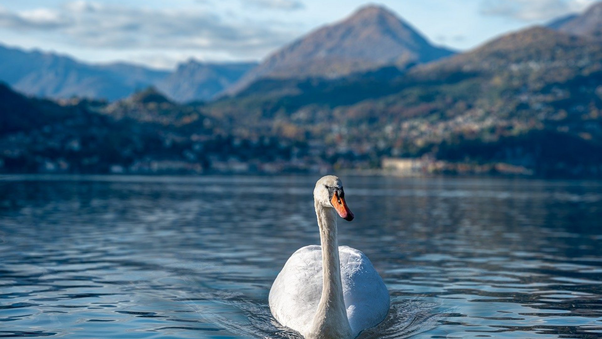 Lago di Como