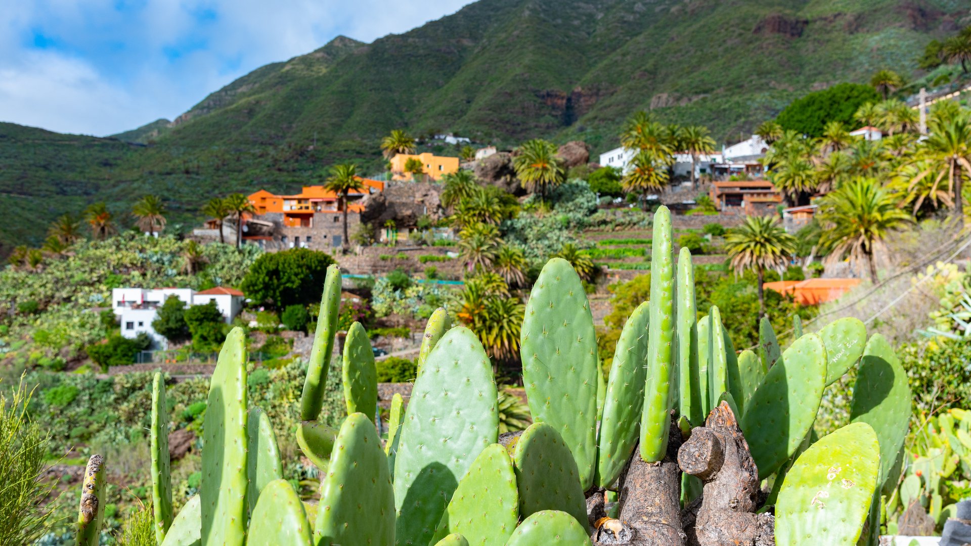 Kanarische Inseln Kanarische Inseln