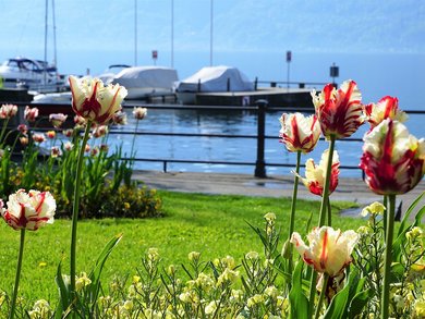 Destinazioni Destinazioni