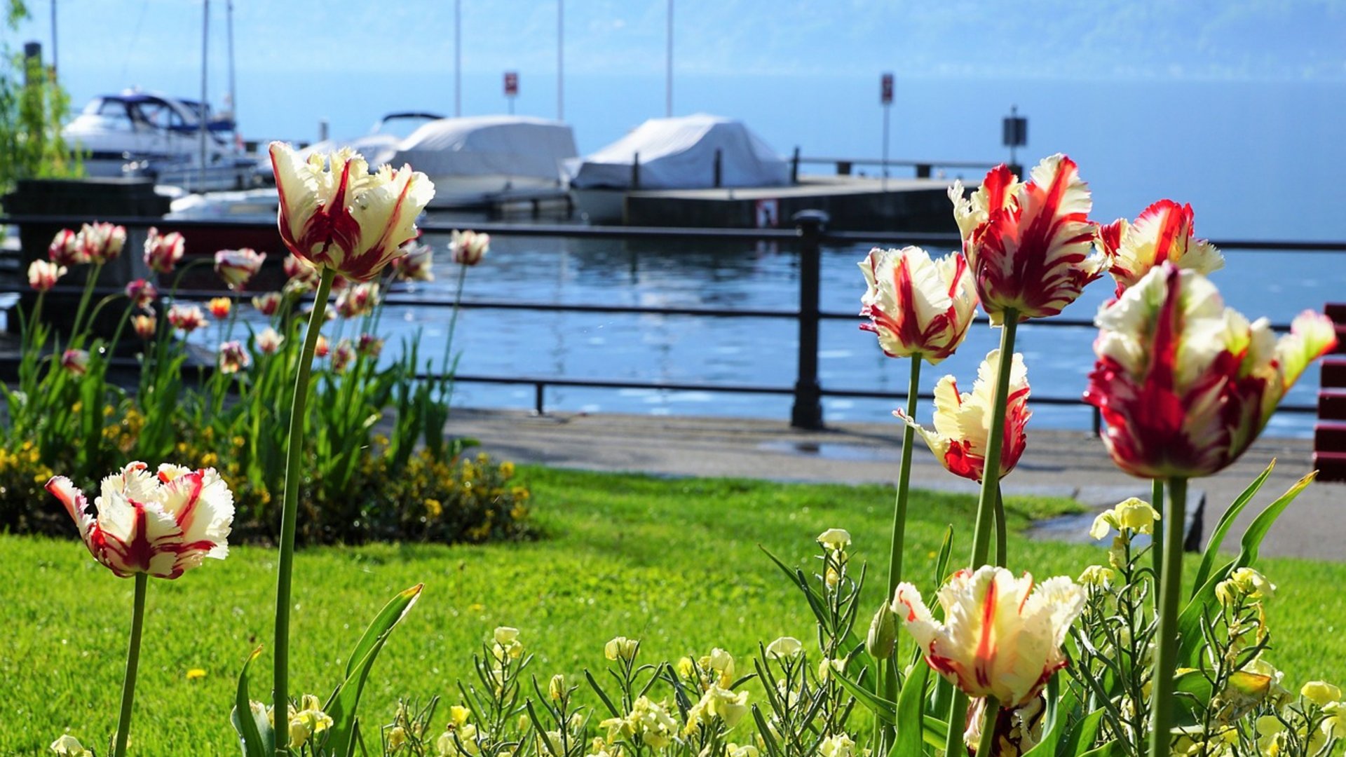 Lake Maggiore: Camellias in Bloom – 6 Days of Spring Splendour