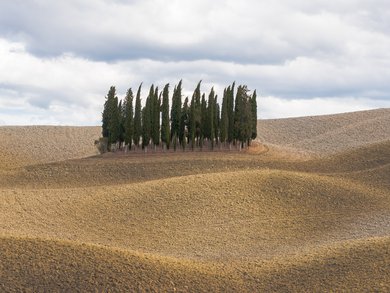 Friuli-Venezia Giulia - Trieste e i suoi tesori