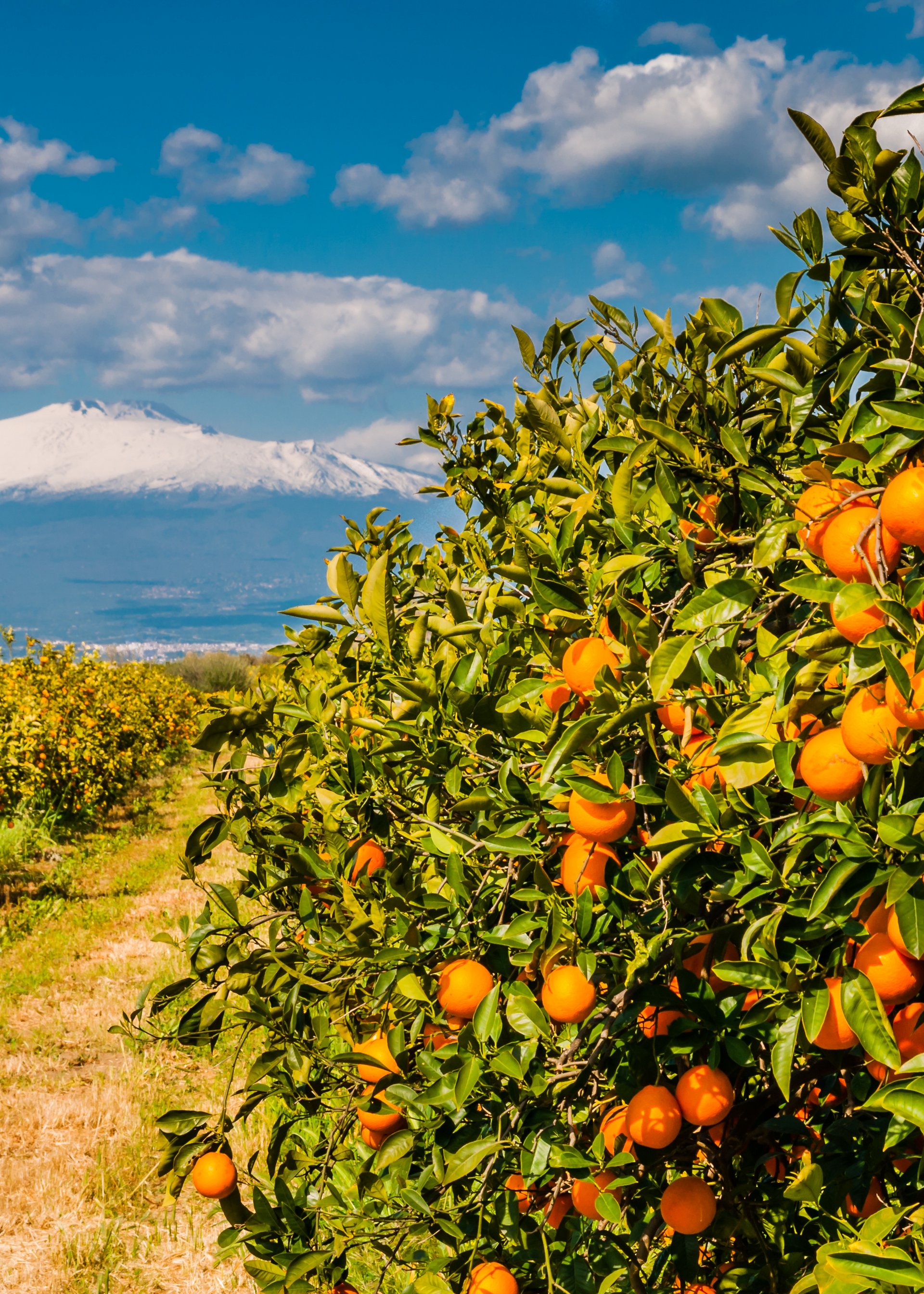Gruppenreise – Sizilien Gruppenreise – Sizilien