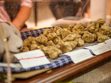 Piedmont: Slow Food, Wine & Truffles – A  B2B Culinary Group Tour