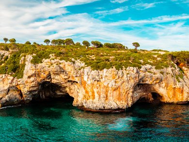 Group Tours to Mallorca: Almond Blossom & Scenic Highlights