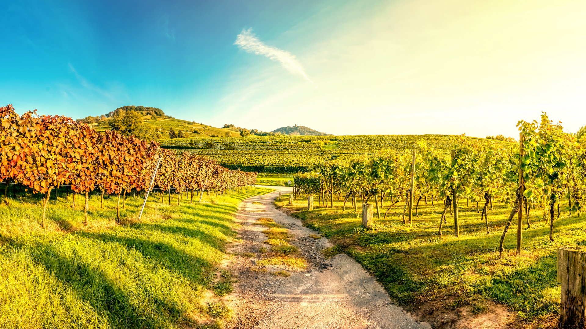 Piedmont Tours for Operators: Nature, Culture & Cuisine Piedmont Tours for Operators: Nature, Culture & Cuisine