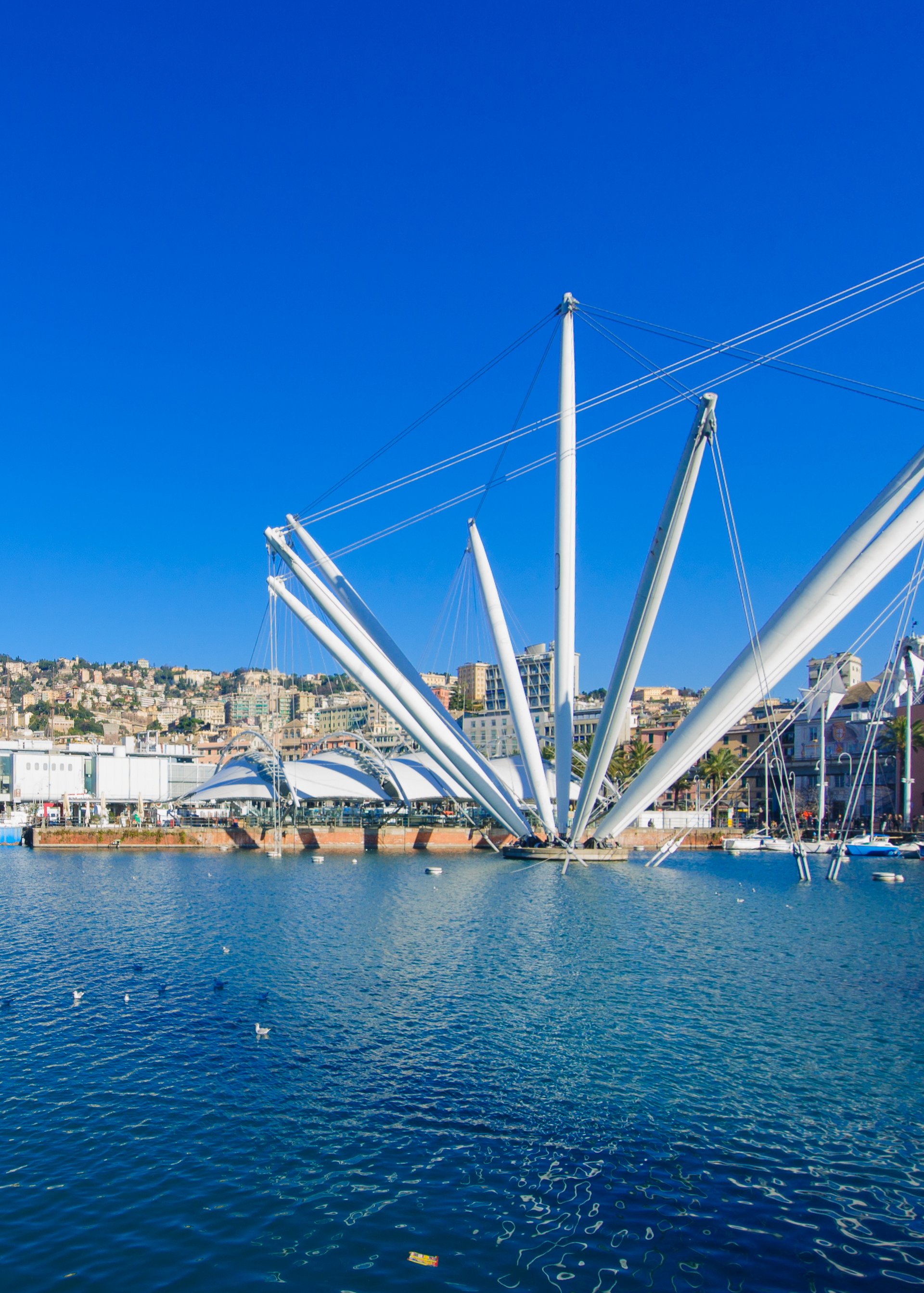 Italian Riviera Tours: Explore Cinque Terre, Portofino & Liguria Italian Riviera Tours: Explore Cinque Terre, Portofino & Liguria