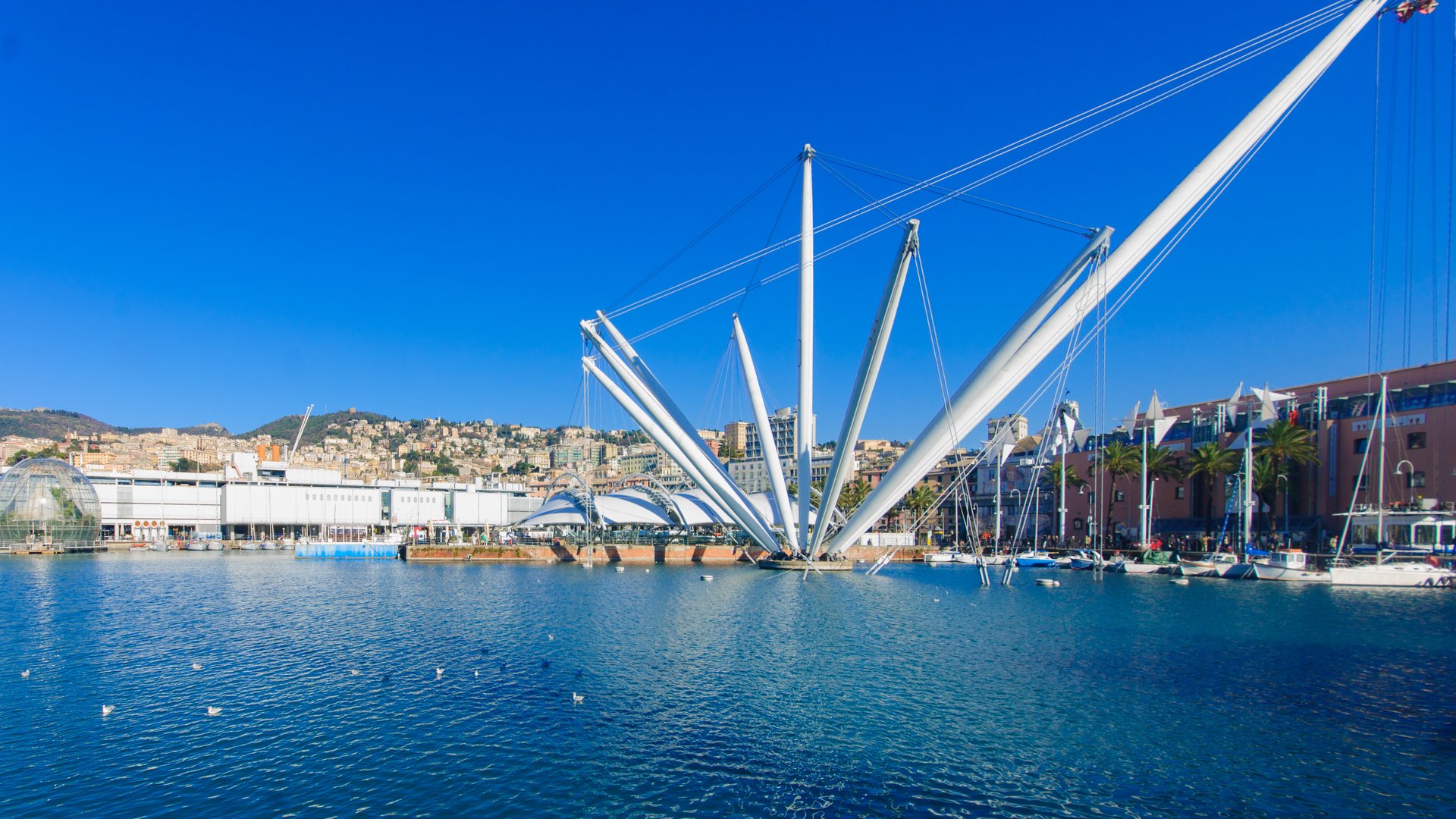 Italian Riviera Tours: Explore Cinque Terre, Portofino & Liguria Italian Riviera Tours: Explore Cinque Terre, Portofino & Liguria