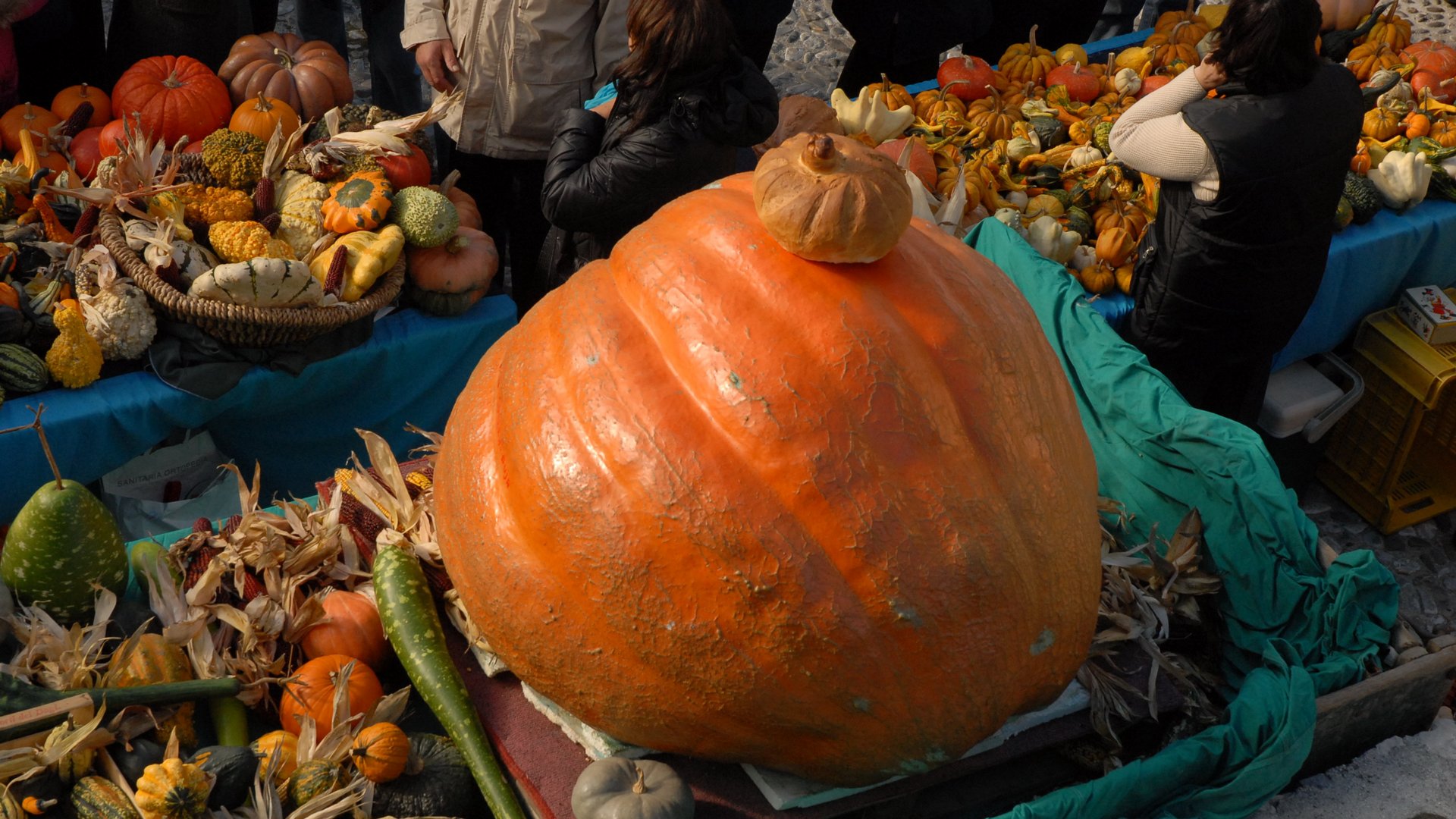 Friaul - Festa della Zucca