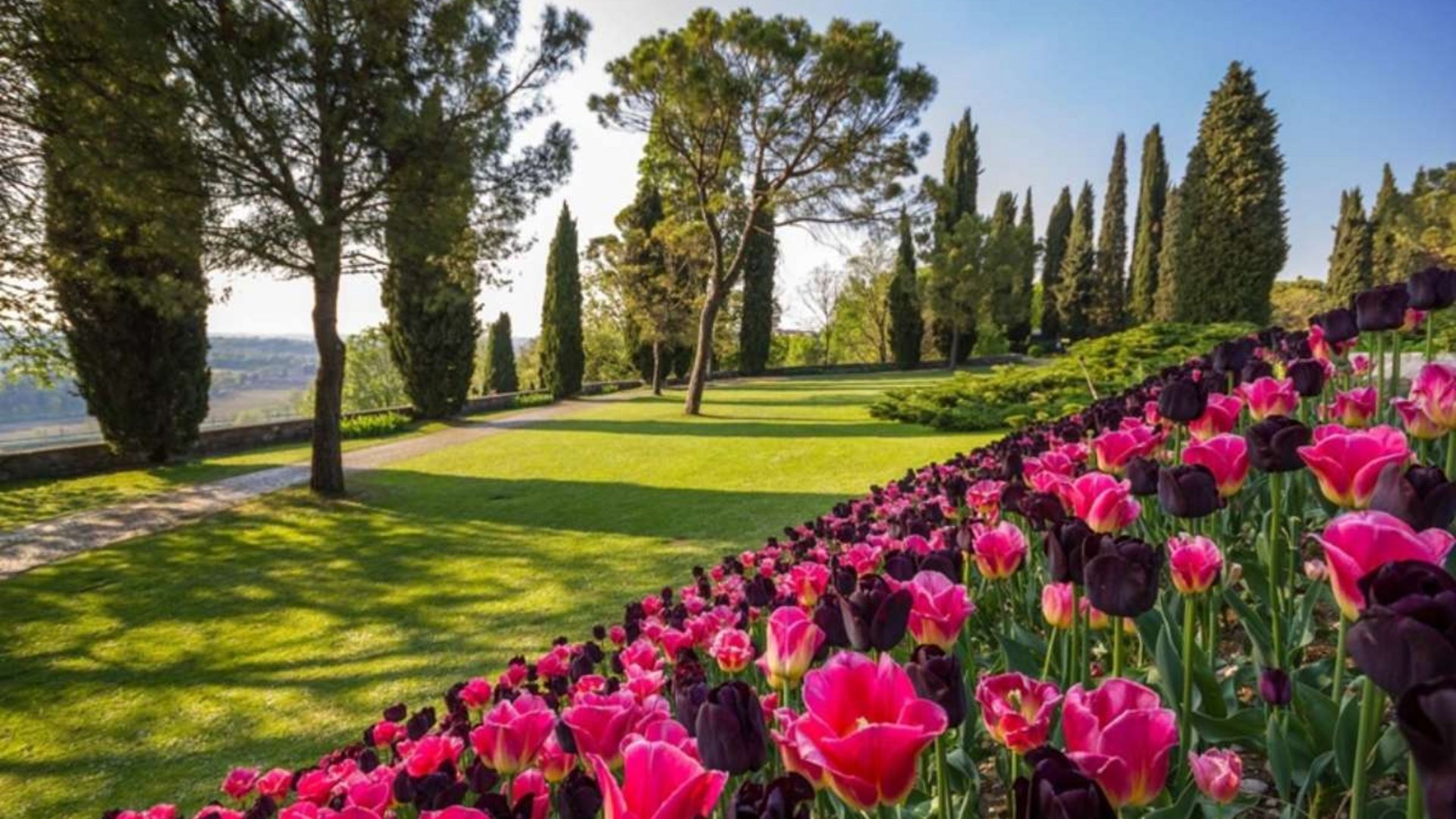 Lake Garda: Tulips in Bloom – 6 Days of Scenic Beauty & Culture