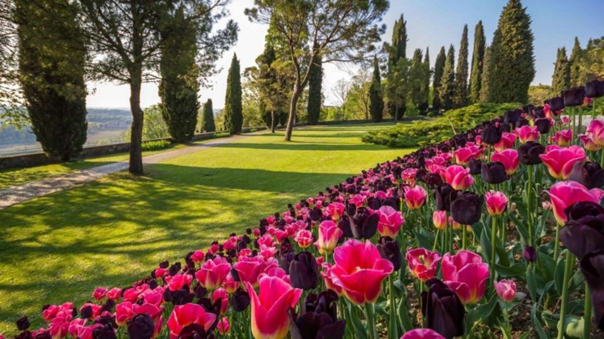 Gardasee - Tulpenrausch am Gardasee