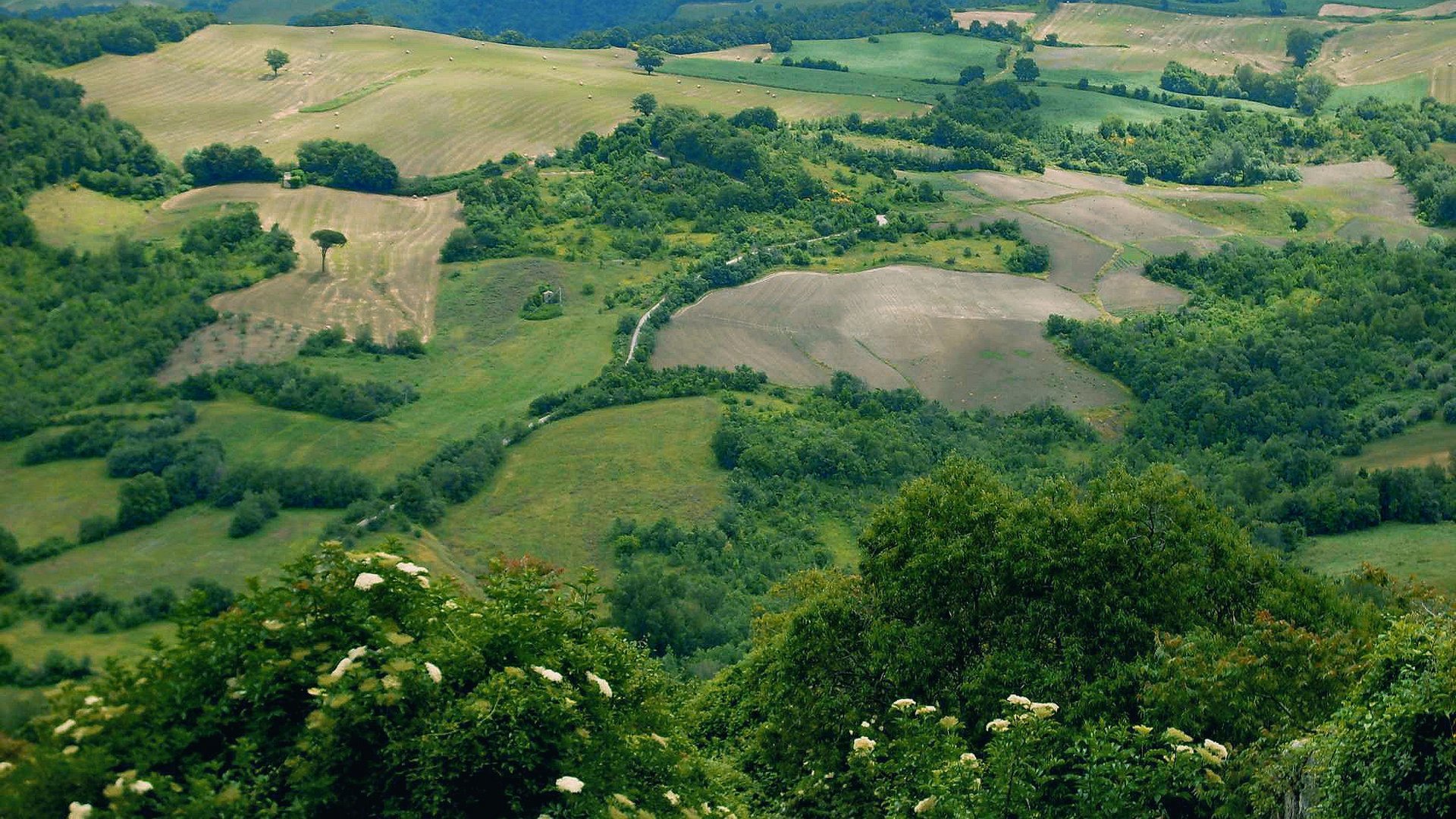 Marche, Abruzzo e Molise - La 'Ndocciata di Agnone in Molise