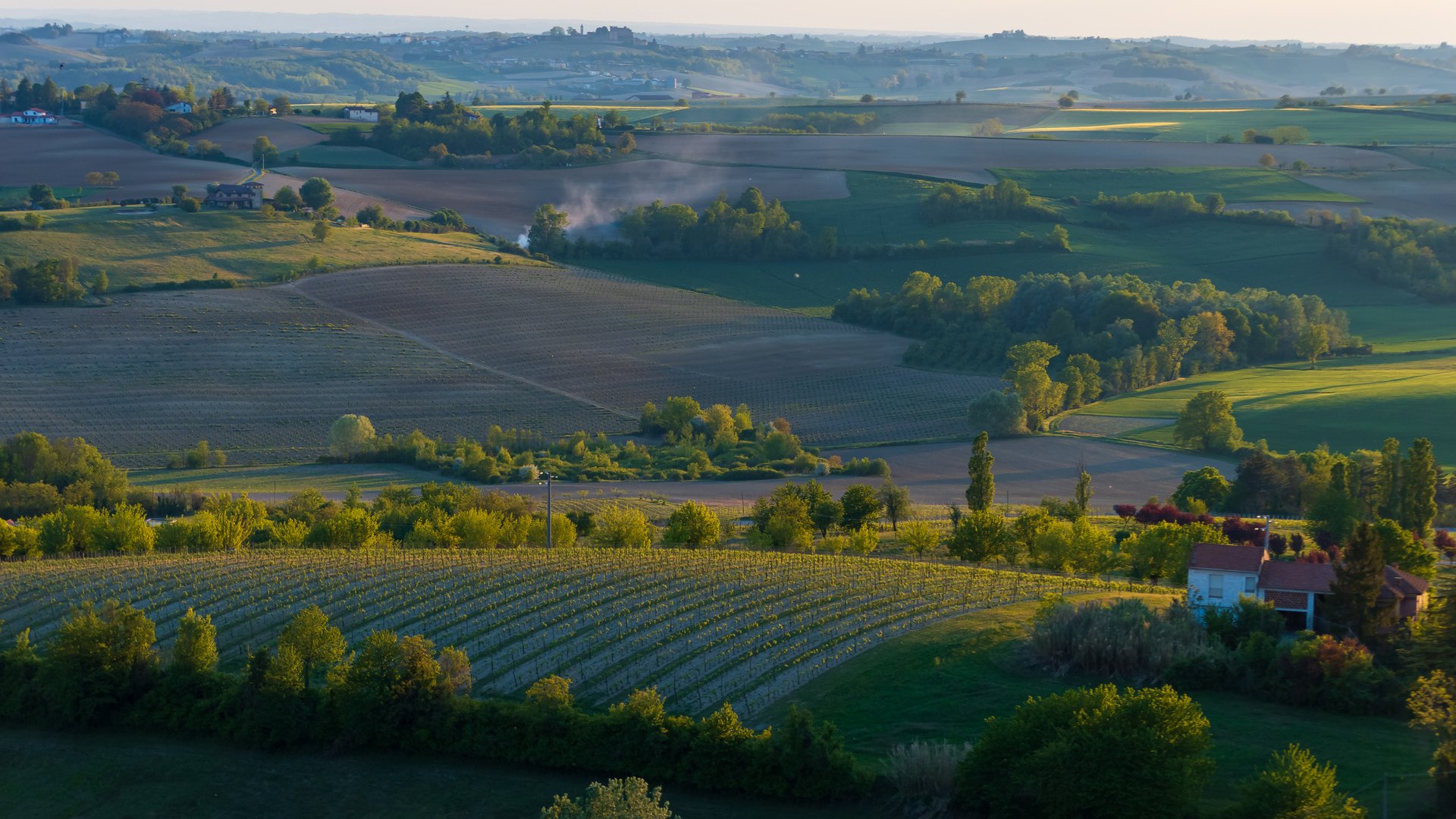 Piedmont: Slow Food, Wine & Truffles – A  B2B Culinary Group Tour