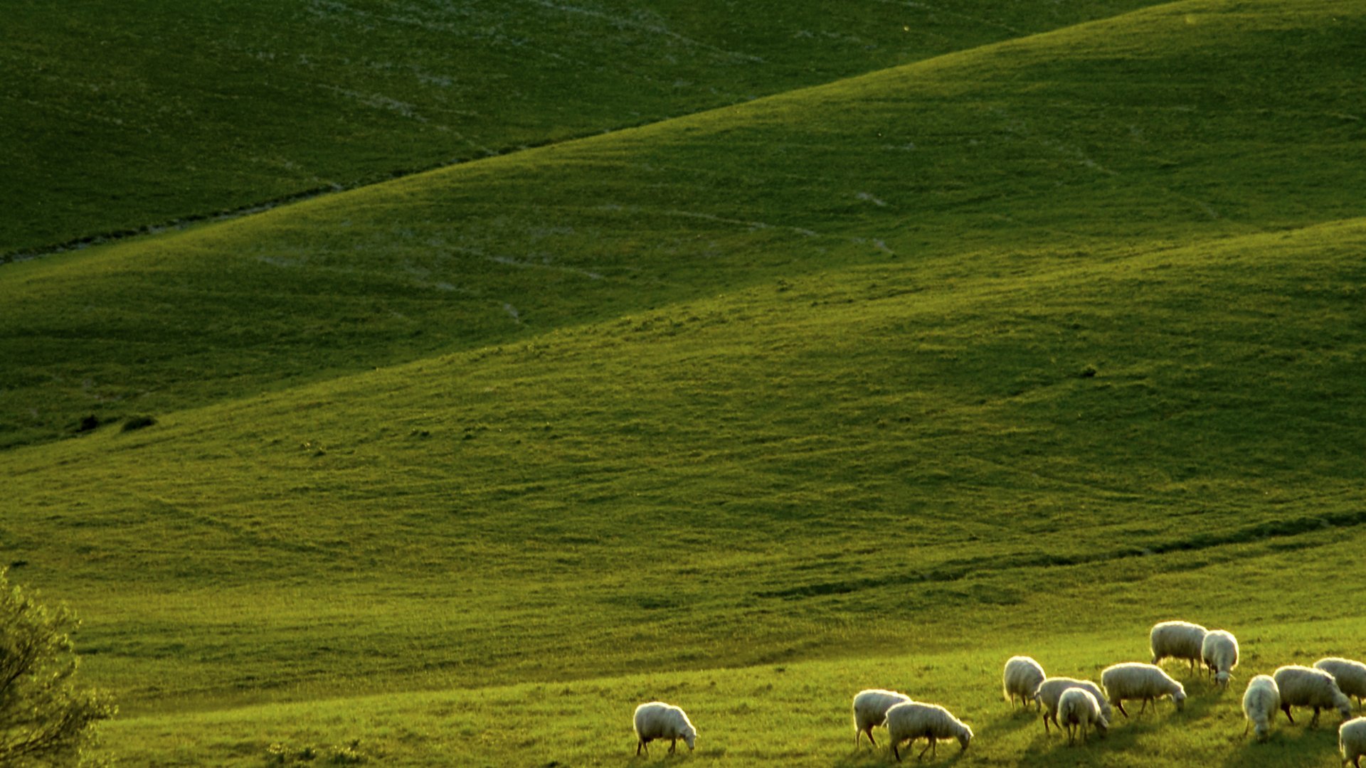 Toscana - Val di Chiana e Crete Senesi: Toscana Gourmet