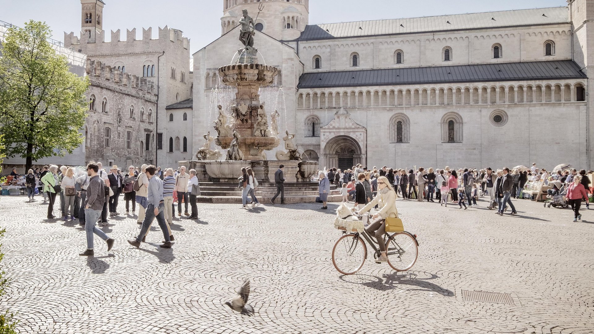 Trentino - Südtirol