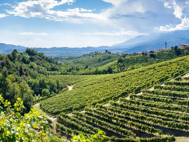 Top Angebote Top Angebote