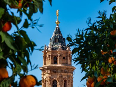 Winteraufenthalt im Süden | Andalusien - Winter an der Costa del Sol