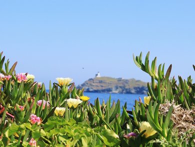 Malta - Malta, l'isola dei cavalieri e Gozo Malta - Malta, l'isola dei cavalieri e Gozo