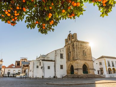 Group Tours Italy & the Mediterranean in January | michelangelo.travel Group Tours Italy & the Mediterranean in January | michelangelo.travel