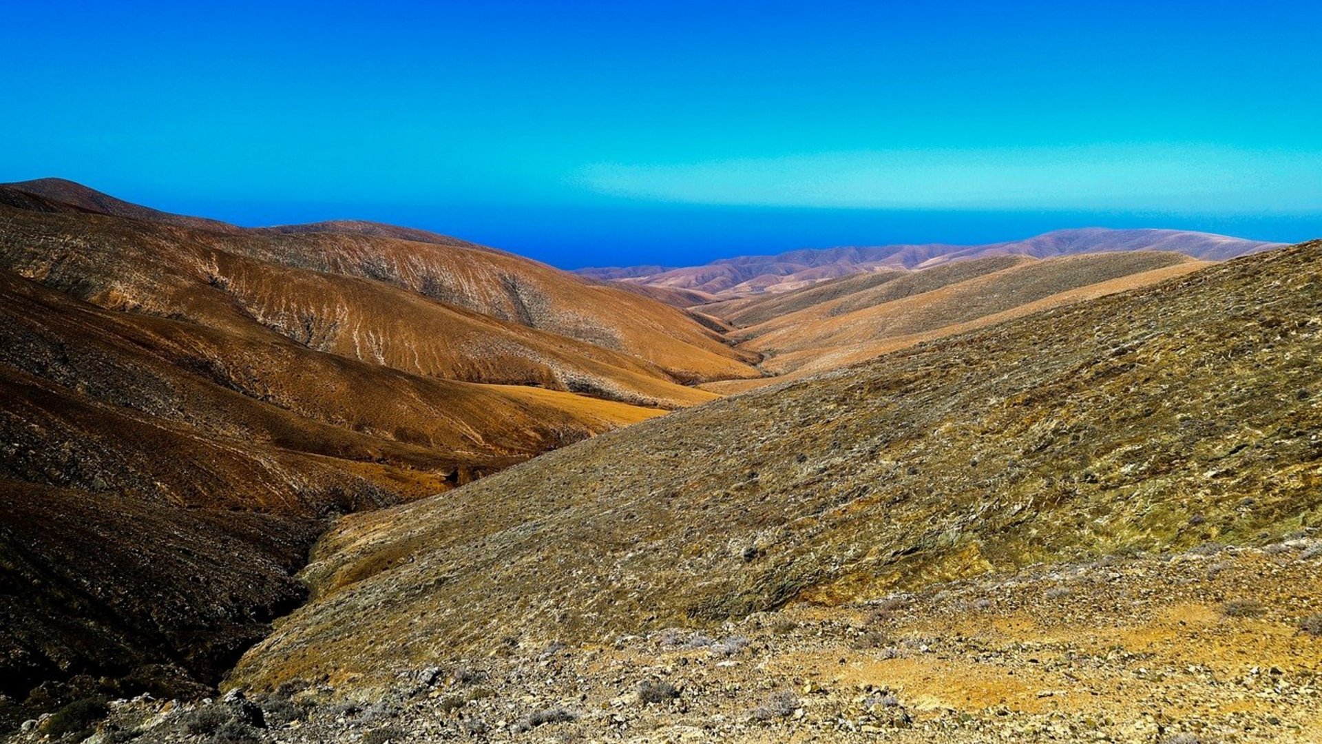 Isole Canarie