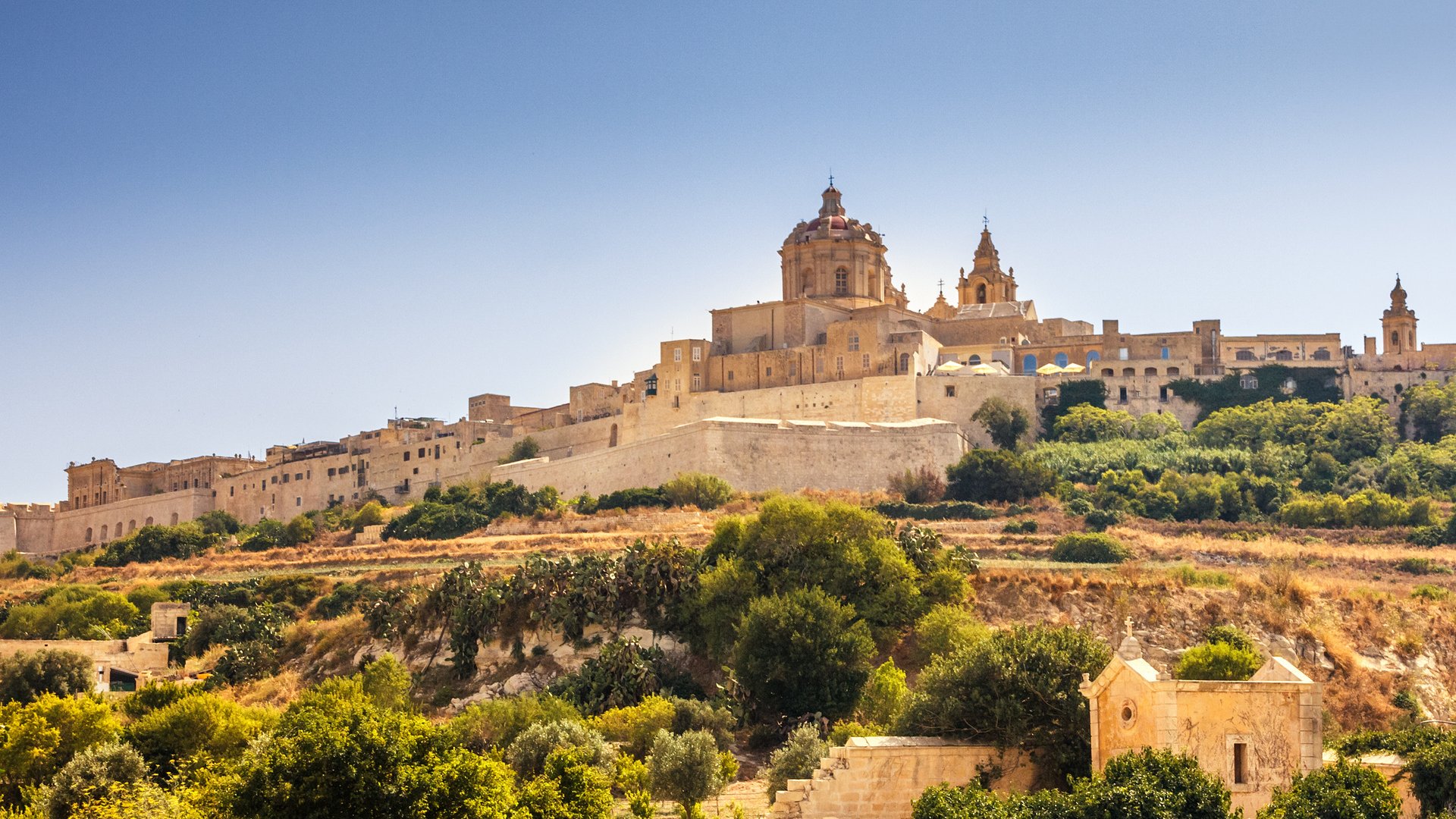 Tastes of Malta: Culinary & Cultural Group Tour