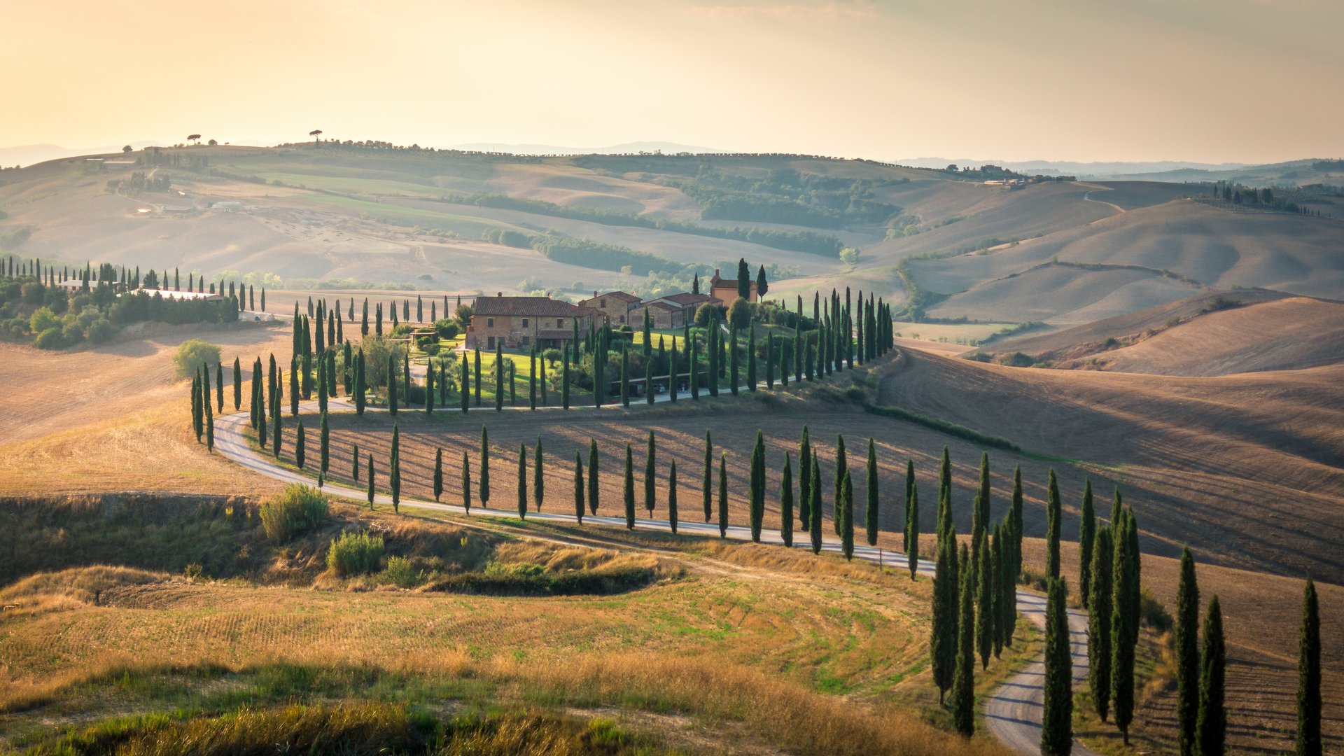 Tuscany Hiking, Wine Tasting & Truffle Hunt Tour: Lucca, Chianti & Florence