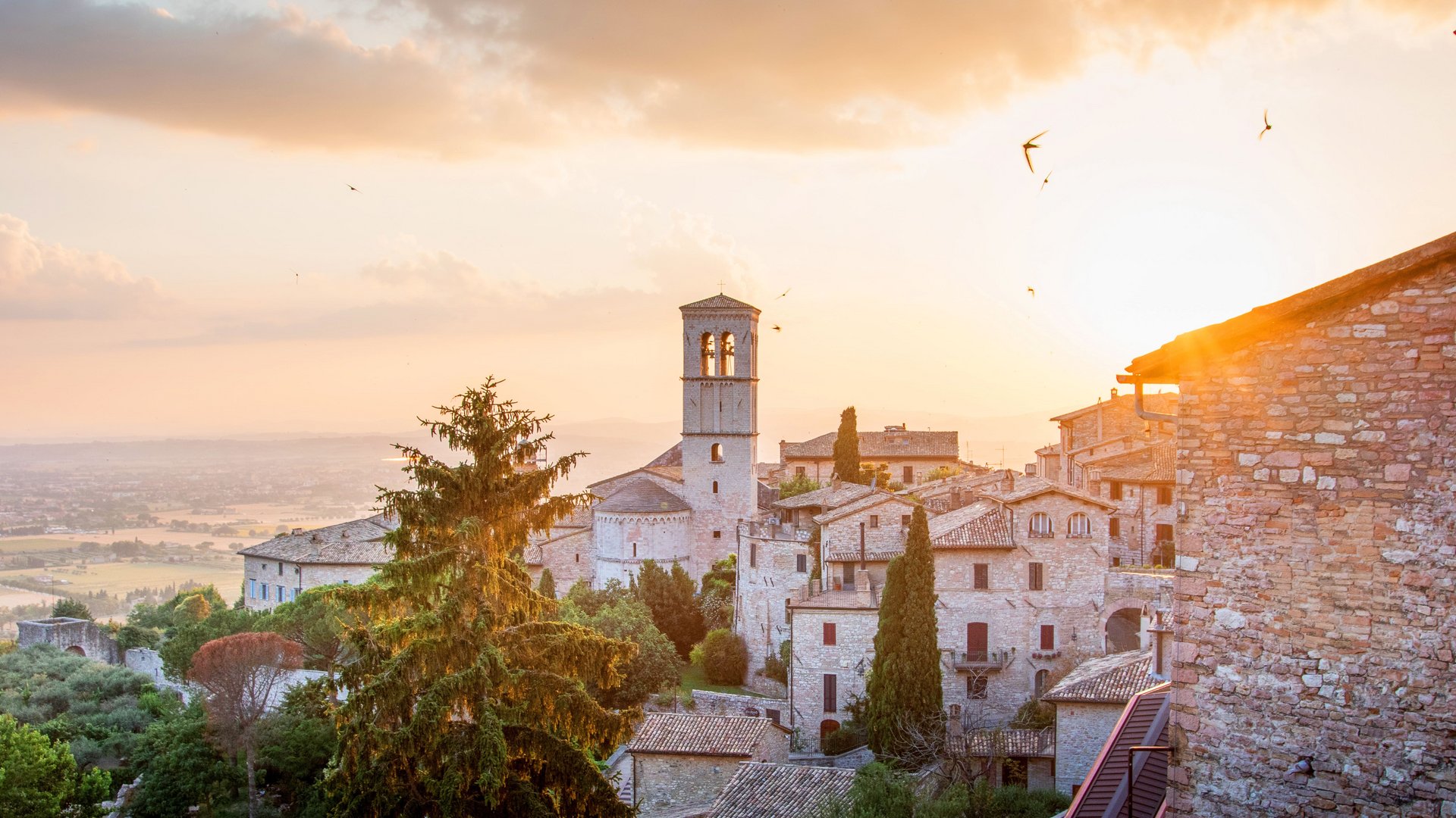 Italy Group Tour - Experience the Breathtaking Lentil Bloom in Umbria