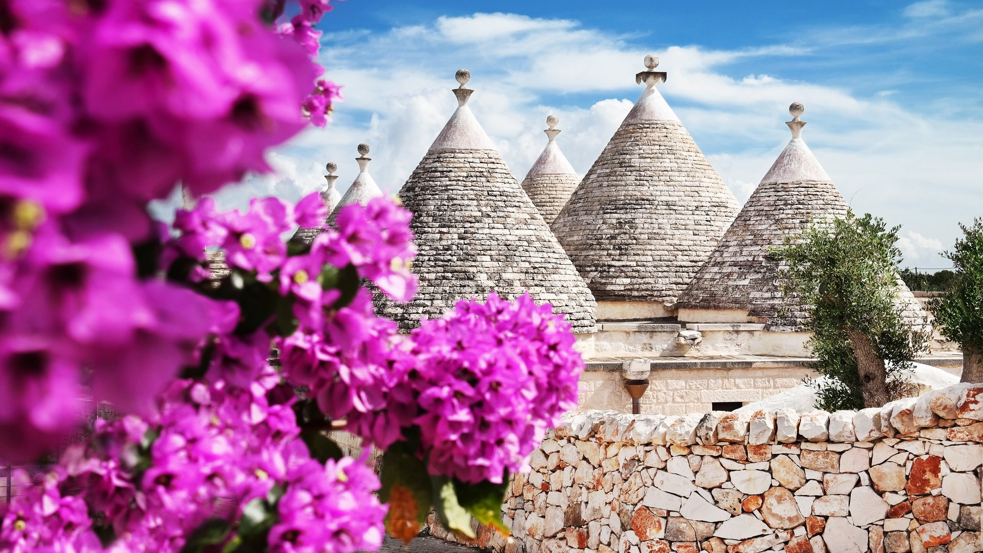 Puglia - Flavours and wines of the Southern Sun