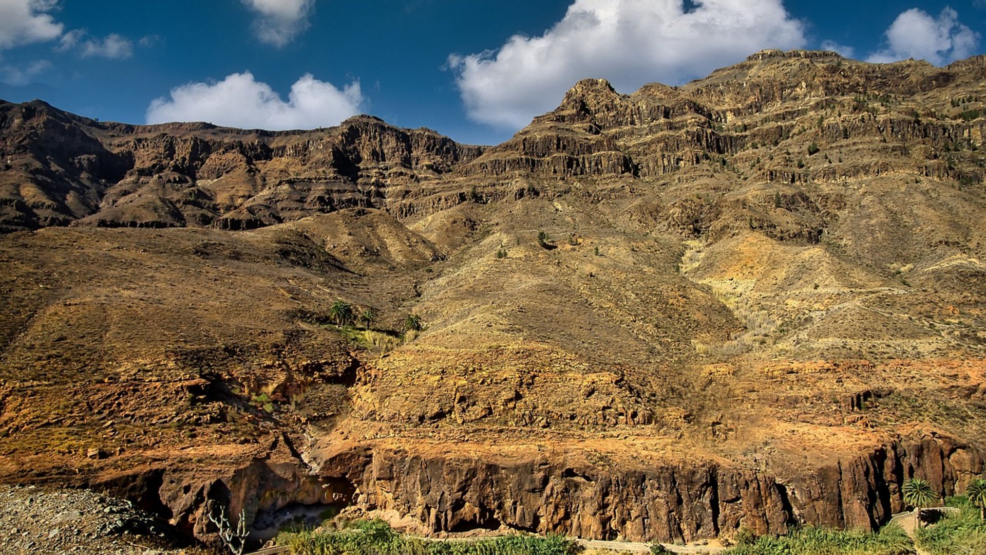 Isole Canarie