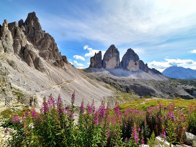 Dolomites Group tours Italy