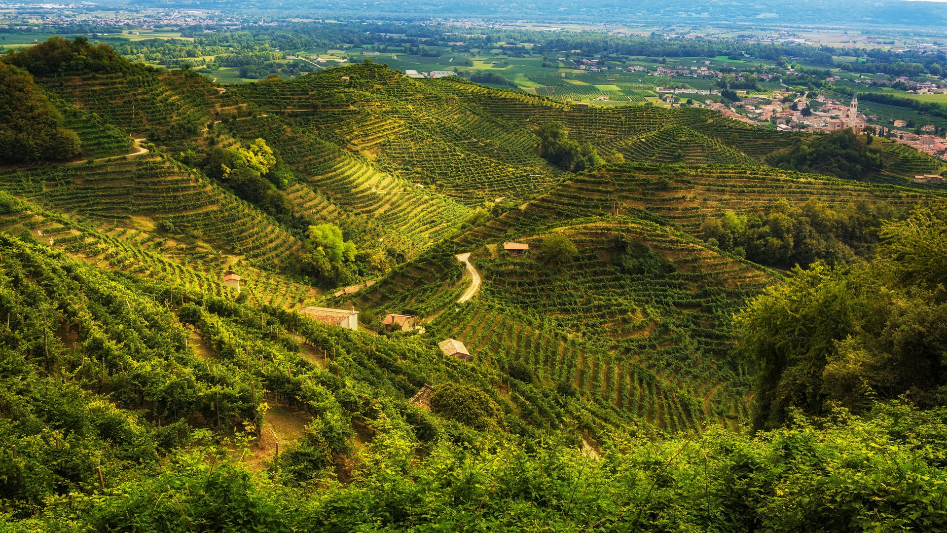 Michelangelo International Travel Michelangelo International Travel