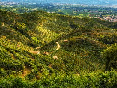 Top Angebote Top Angebote