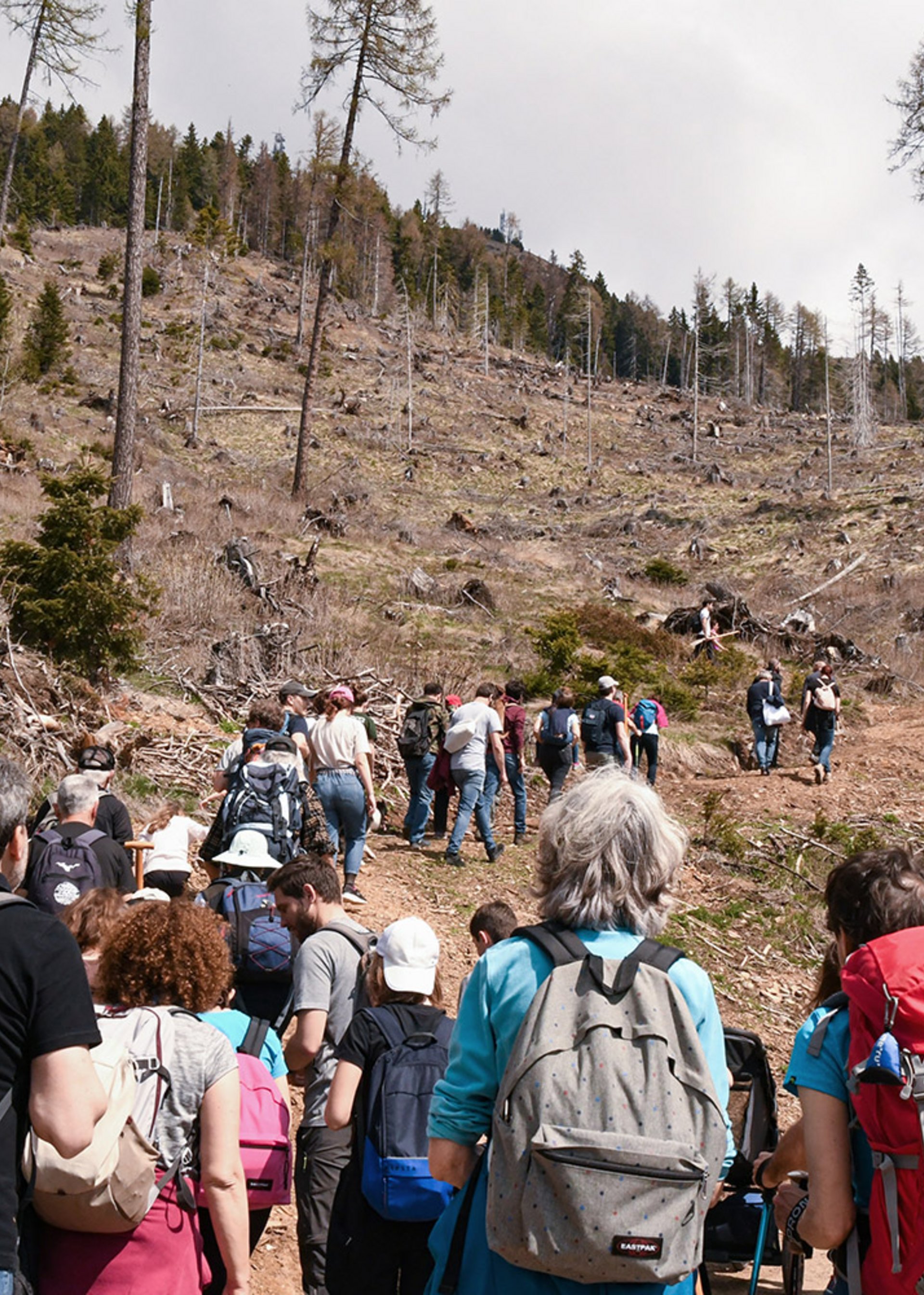 Our Commitment | Michelangelo International Travel Our Commitment | Michelangelo International Travel