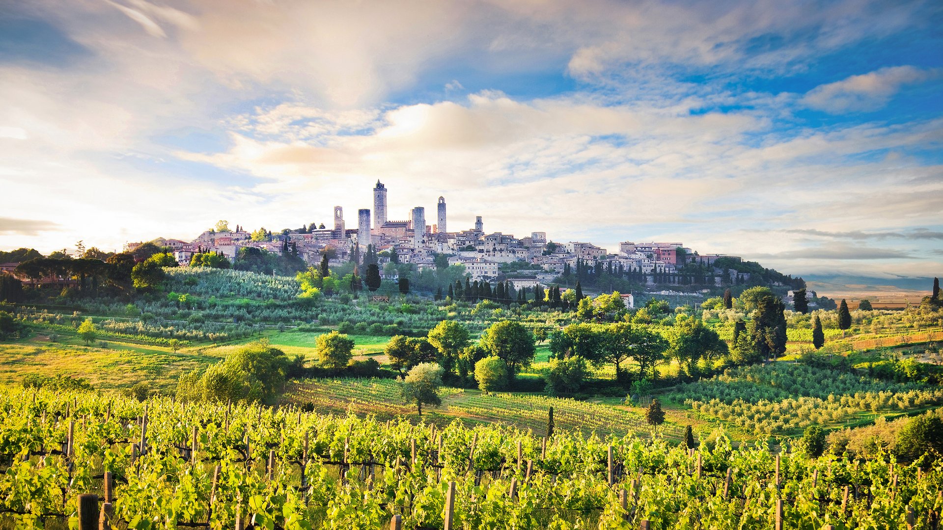 Northern Tuscany Bike Tour: Chianti, Coast & Culture