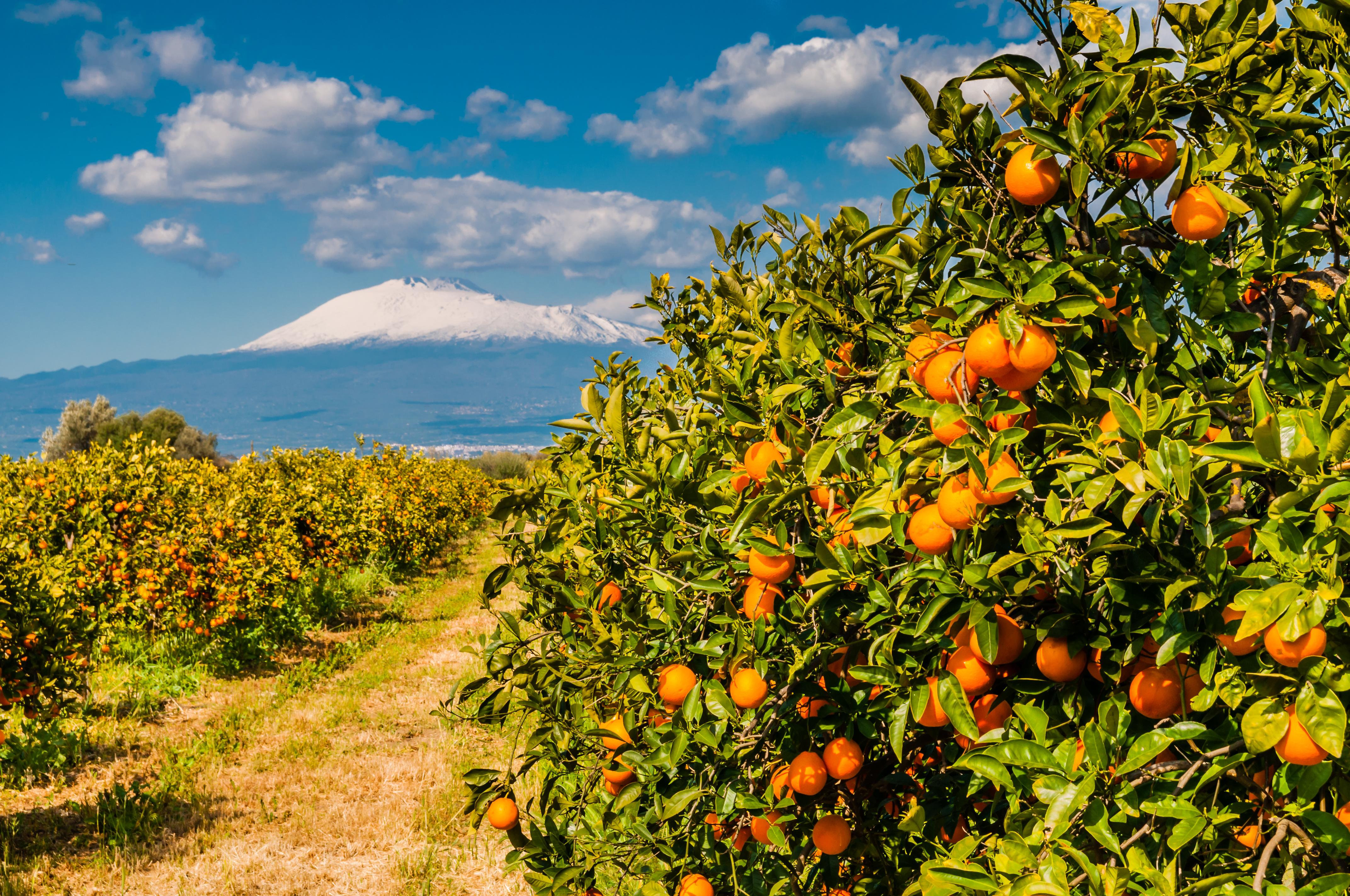 Viaggi di gruppo in Sicilia