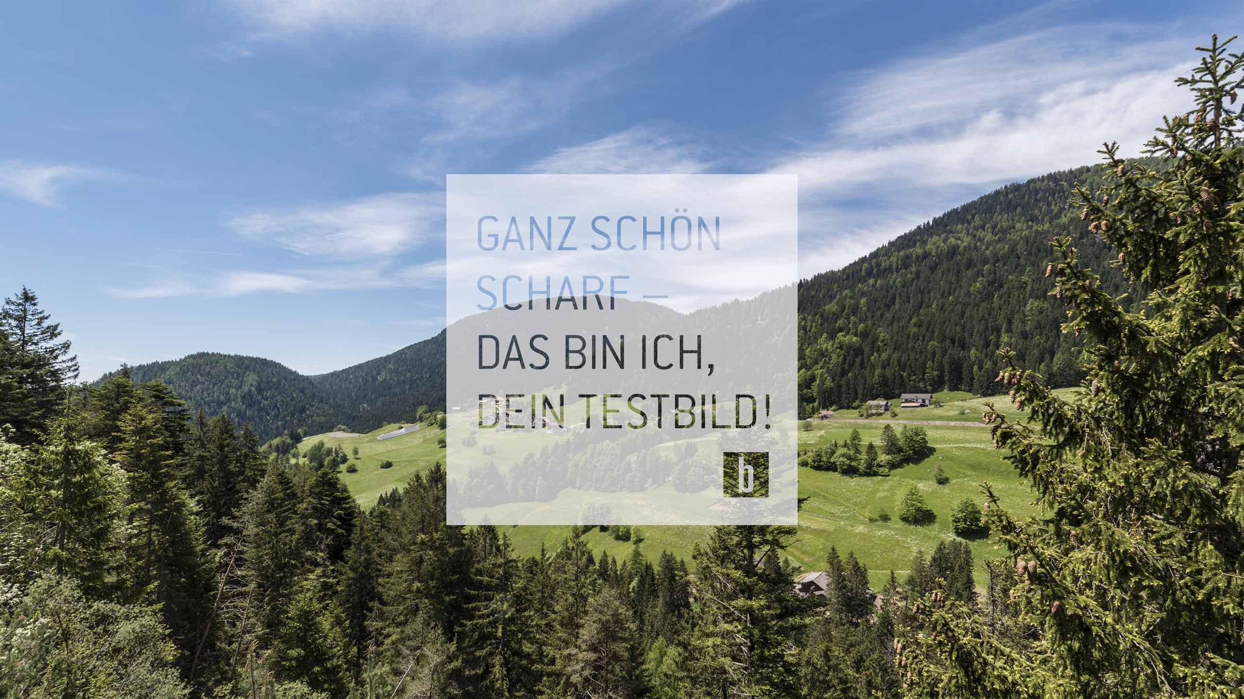 Sommer Sommer